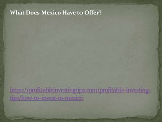 What Does Mexico Have to Offer?
 