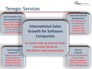 Tenego: Services
22
 