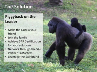 9
The Solution
Piggyback on the
Leader
• Make the Gorilla your
friend
• Join the family
• Achieve SAP Certification
for your solutions
• Network through the SAP
Partner EcoSystem
• Leverage the SAP brand
 
