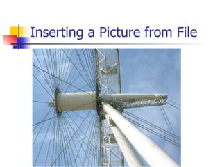 Inserting a Picture from File 