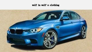 wolf in wolf’s clothing
 