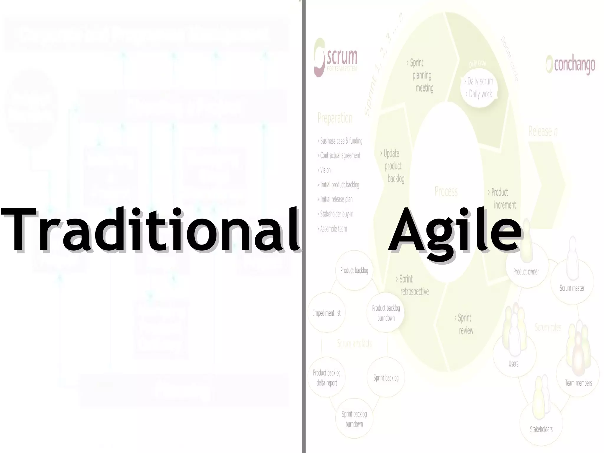 Agile Traditional 