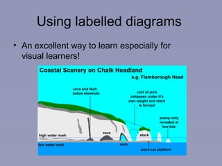 Using labelled diagrams  An excellent way to learn especially for visual learners! 