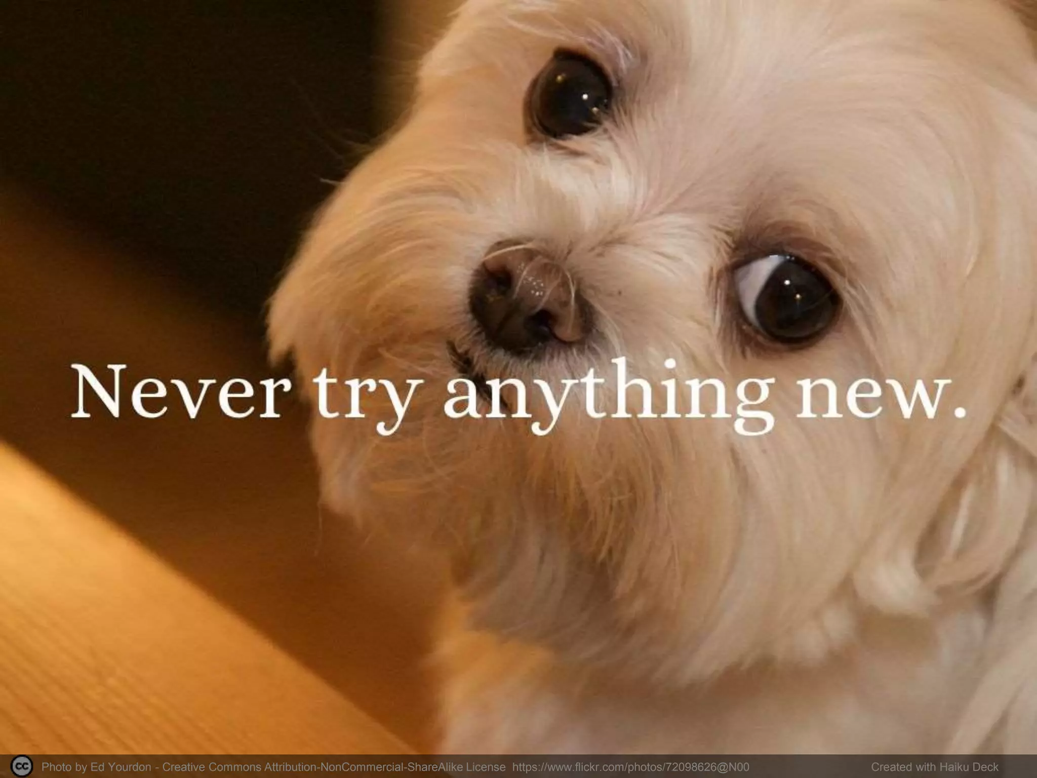 Photo by Ed Yourdon - Creative Commons Attribution-NonCommercial-ShareAlike License https://www.flickr.com/photos/72098626@N00 Created with Haiku Deck 
 