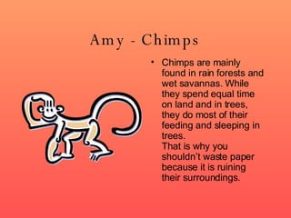 Amy - Chimps Chimps are mainly found in rain forests and wet savannas. While they spend equal time on land and in trees, they do most of their feeding and sleeping in trees. That is why you shouldn’t waste paper because it is ruining their surroundings. 
