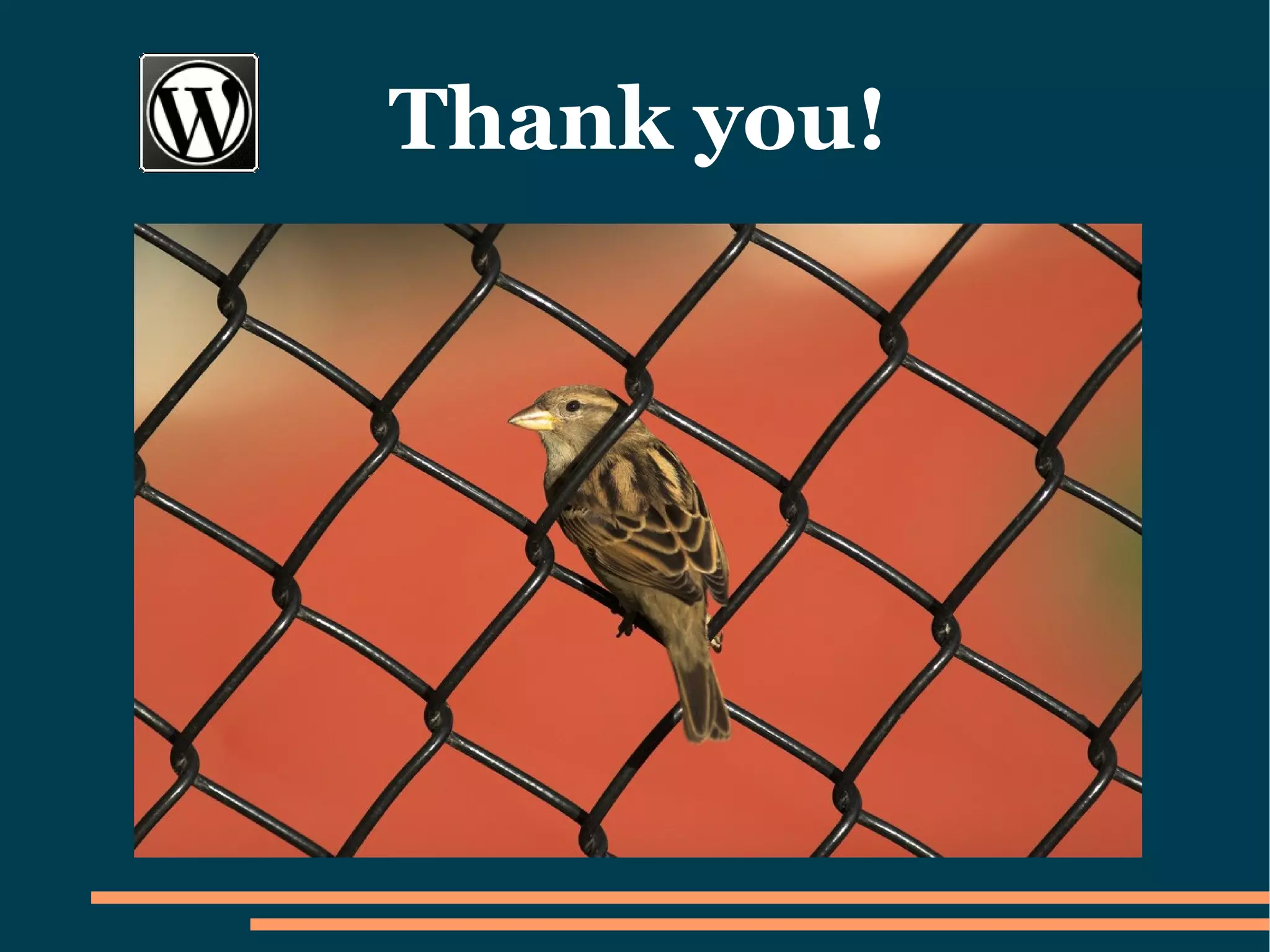 How to set up a Wordpress Blog