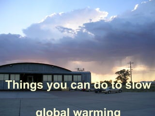 Things you can do to slow  global warming 