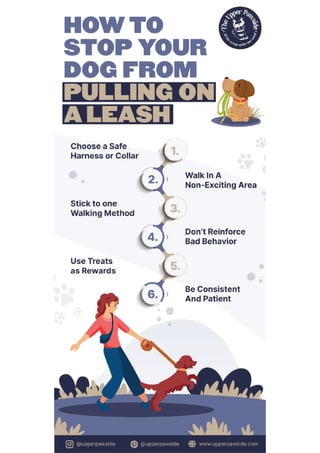 How to stop dog from pulling on leash