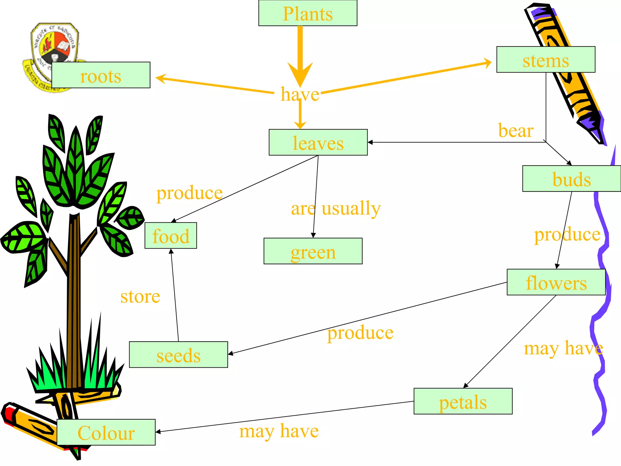 A study guide for Distance Learners