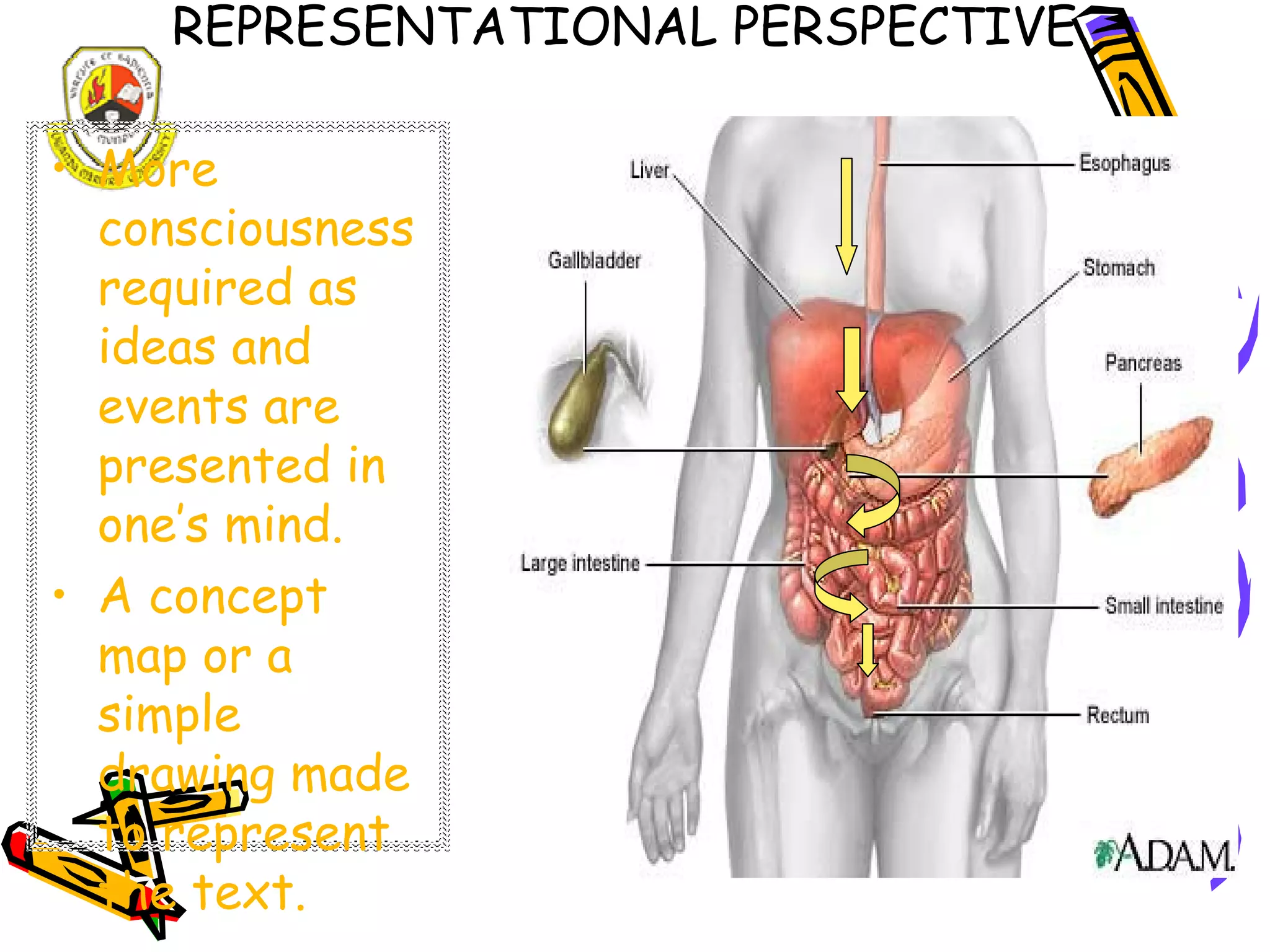 A study guide for Distance Learners