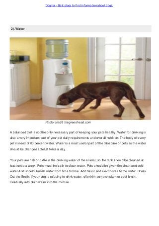 Dogmal - Best place to find information about dogs.
2). Water
Photo credit: thegreenhead.com
A balanced diet is not the only necessary part of keeping your pets healthy. Water for drinking is
also a very important part of your pet daily requirements and overall nutrition. The body of every
pet in need of 80 percent water. Water is a most useful part of the take care of pets so the water
should be changed at least twice a day.
Your pets are fish or turtle in the drinking water of the animal, so the tank should be cleaned at
least once a week. Pets must the bath to clean water. Pets should be given the clean and cold
water And should furnish water from time to time. Add flavor and electrolytes to the water. Break
Out the Broth: If your dog is refusing to drink water, offer him some chicken or beef broth.
Gradually add plain water into the mixture.
 