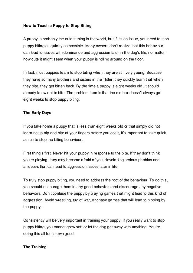 How to Teach a Puppy to Stop Biting