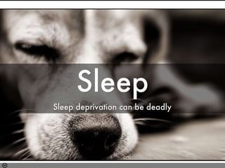 Photo by HckySo - Creative Commons Attribution-NonCommercial License https://www.flickr.com/photos/54191388@N00 Created with Haiku Deck
 