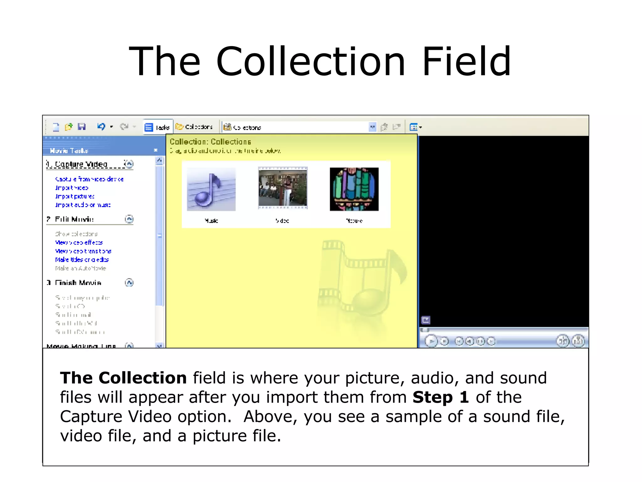 The Collection Field The Collection  field is where your picture, audio, and sound files will appear after you import them from  Step 1  of the Capture Video option.  Above, you see a sample of a sound file, video file, and a picture file. 