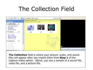 The Collection Field The Collection  field is where your picture, audio, and sound files will appear after you import them from  Step 1  of the Capture Video option.  Above, you see a sample of a sound file, video file, and a picture file. 