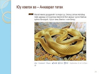 28
Юу хэвлэх вэ – Анхаарал татах
 