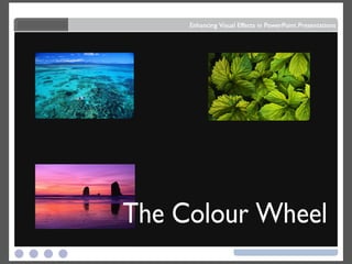 The Colour Wheel 