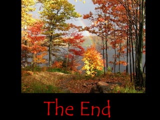 The End  