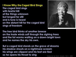 I Know Why the Caged Bird Sings The caged bird sings with fearful trill of the things unknown but longed for still and is tune is heard on the distant hill for the caged bird sings of freedom The free bird thinks of another breeze an the trade winds soft through the sighing trees and the fat worms waiting on a dawn-bright lawn and he names the sky his own. But a caged bird stands on the grave of dreams his shadow shouts on a nightmare scream his wings are clipped and his feet are tied so he opens his throat to sing Presented by Brent Daigle, Ph.D. (ABD) 