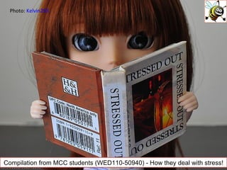 Compilation from MCC students (WED110-50940) - How they deal with stress! Photo:  Kelvin255 