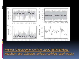 https://buyorganiccoffee.org/2002830/how-
weather-and-climate-affect-coffee-leaf-rust/
 