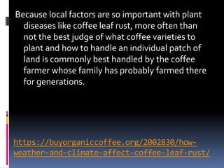 https://buyorganiccoffee.org/2002830/how-
weather-and-climate-affect-coffee-leaf-rust/
Because local factors are so important with plant
diseases like coffee leaf rust, more often than
not the best judge of what coffee varieties to
plant and how to handle an individual patch of
land is commonly best handled by the coffee
farmer whose family has probably farmed there
for generations.
 