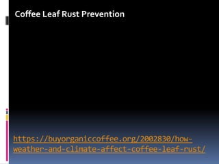 https://buyorganiccoffee.org/2002830/how-
weather-and-climate-affect-coffee-leaf-rust/
Coffee Leaf Rust Prevention
 