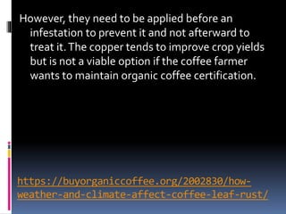 https://buyorganiccoffee.org/2002830/how-
weather-and-climate-affect-coffee-leaf-rust/
However, they need to be applied before an
infestation to prevent it and not afterward to
treat it.The copper tends to improve crop yields
but is not a viable option if the coffee farmer
wants to maintain organic coffee certification.
 