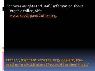 https://buyorganiccoffee.org/2002830/how-
weather-and-climate-affect-coffee-leaf-rust/
For more insights and useful information about
organic coffee, visit
www.BuyOrganicCoffee.org.
 