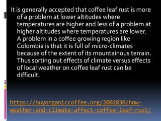 https://buyorganiccoffee.org/2002830/how-
weather-and-climate-affect-coffee-leaf-rust/
It is generally accepted that coffee leaf rust is more
of a problem at lower altitudes where
temperatures are higher and less of a problem at
higher altitudes where temperatures are lower.
A problem in a coffee growing region like
Colombia is that it is full of micro-climates
because of the extent of its mountainous terrain.
Thus sorting out effects of climate versus effects
of local weather on coffee leaf rust can be
difficult.
 