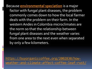 https://buyorganiccoffee.org/2002830/how-
weather-and-climate-affect-coffee-leaf-rust/
Because environmental speciation is a major
factor with fungal plant diseases, the problem
commonly comes down to how the local farmer
deals with the problem on their farm. In the
western Andes in Colombia microclimates are
the norm so that the relationship between
fungal plant diseases and the weather varies
from one area to the next even when separated
by only a few kilometers.
 