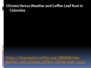 https://buyorganiccoffee.org/2002830/how-
weather-and-climate-affect-coffee-leaf-rust/
ClimateVersus Weather and Coffee Leaf Rust in
Colombia
 