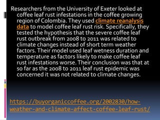 https://buyorganiccoffee.org/2002830/how-
weather-and-climate-affect-coffee-leaf-rust/
Researchers from the University of Exeter looked at
coffee leaf rust infestations in the coffee growing
region of Colombia.They used climate reanalysis
data to model coffee leaf rust risk. Specifically, they
tested the hypothesis that the severe coffee leaf
rust outbreak from 2008 to 2011 was related to
climate changes instead of short term weather
factors.Their model used leaf wetness duration and
temperature as factors likely to make coffee leaf
rust infestations worse.Their conclusion was that at
so far as the 2008 to 2011 leaf rust epidemic was
concerned it was not related to climate changes.
 