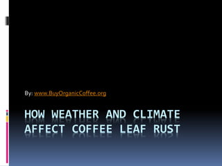HOW WEATHER AND CLIMATE
AFFECT COFFEE LEAF RUST
By: www.BuyOrganicCoffee.org
 