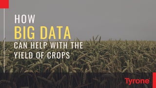 BIG DATA
HOW
CAN HELP WITH THE
YIELD OF CROPS
 