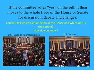 If the committee votes “yes” on the bill, it then 
moves to the whole floor of the House or Senate 
for discussion, debate and changes. 
Can you tell which picture below is the House and which one is 
the Senate? 
How do you know? 
U.S. House of Representatives U.S. Senate 
 