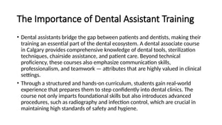 How a Dental Assistant Course in Calgary Can Shape Your Future in ...