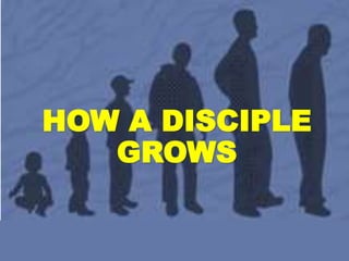 HOW A DISCIPLE
GROWS
 