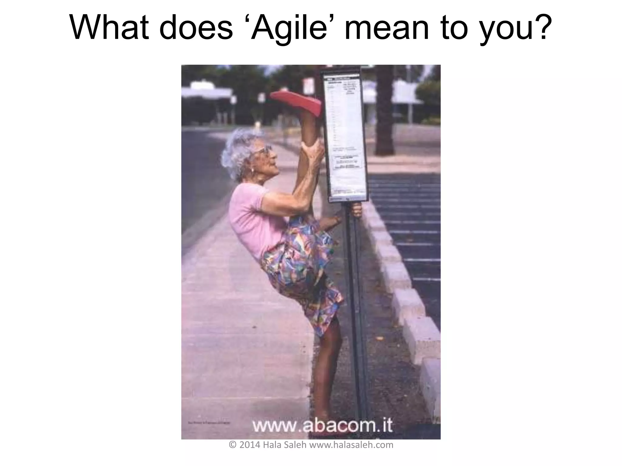 What does ‘Agile’ mean to you?
© 2014 Hala Saleh www.halasaleh.com
 