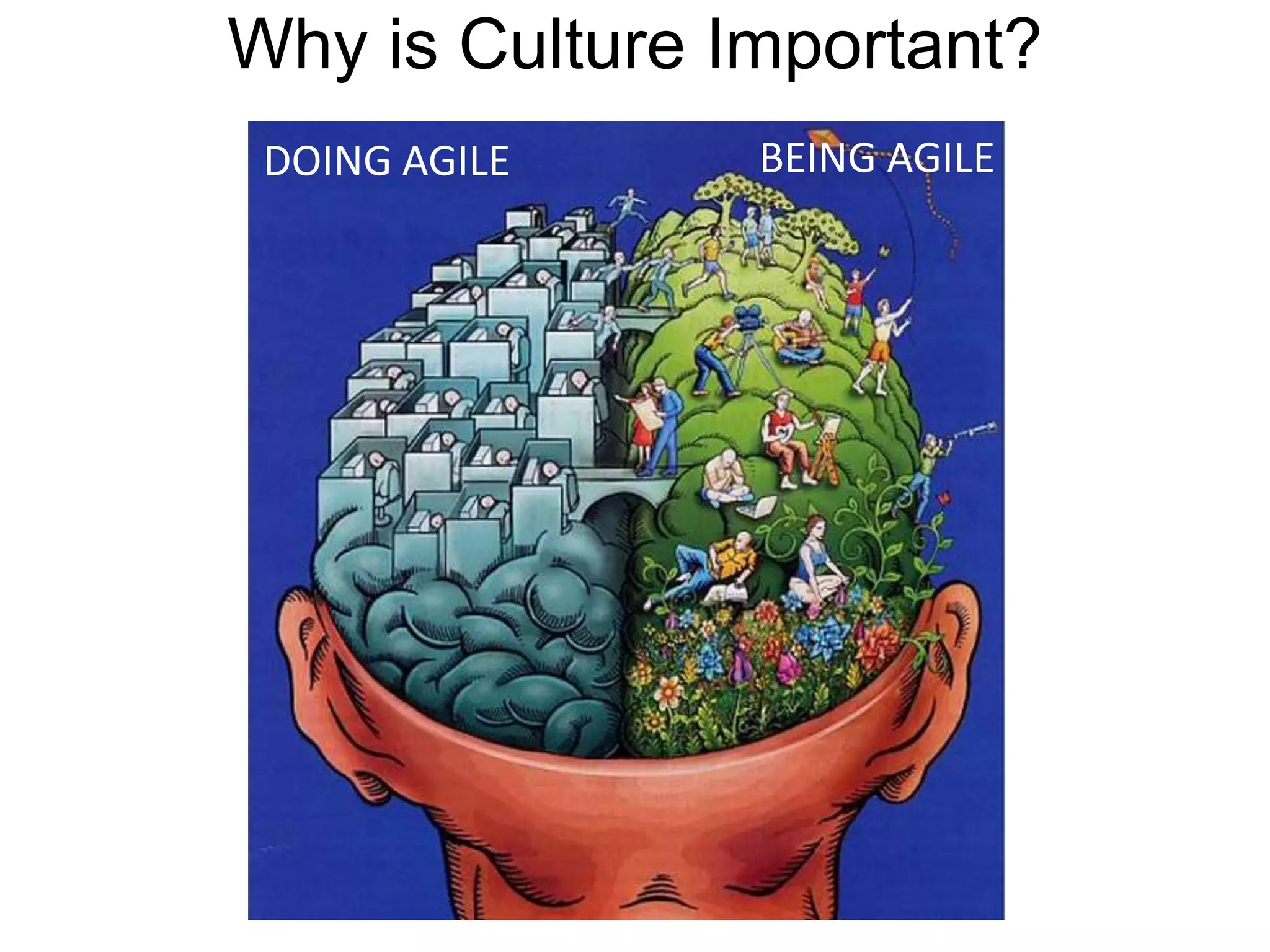 Why is Culture Important?
© 2013 Hala Saleh www.halasaleh.com
DOING AGILE BEING AGILE
 