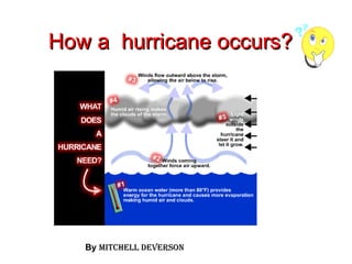 How a  hurricane occurs? By   Mitchell deverson 