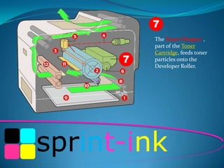 7
7

The Toner Hopper ,
part of the Toner
Cartridge, feeds toner
particles onto the
Developer Roller.

sprint-ink

 