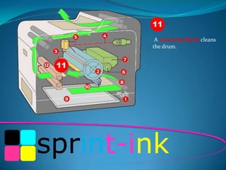 11
A Cleaning Blade cleans
the drum.

11

sprint-ink

 