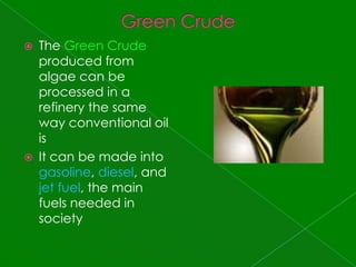 Green CrudeThe Green Crude produced from algae can be processed in a refinery the same way conventional oil isIt can be made into gasoline, diesel, and jet fuel, the main fuels needed in society