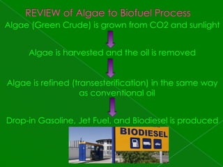 REVIEW of Algae to Biofuel ProcessAlgae (Green Crude) is grown from CO2 and sunlightAlgae is harvested and the oil is removedAlgae is refined (transesterification) in the same way as conventional oilDrop-in Gasoline, Jet Fuel, and Biodiesel is produced 