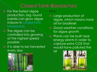Closed-Tank BioreactorsFor the fastest algae production, big, round barrels can grow algae indoors in closed-tank bioreactorsThe algae can be controlled into growing at the highest speed possibleIt is able to be harvested every dayPros:Large production of algae, which means more oil for biodieselGood weather conditions for algae growthPlants can be built near energy plants in order to capture extra CO2 that would have polluted the air