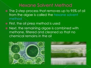 Hexane Solvent MethodThe 2-step process that removes up to 95% of oil from the algae is called the hexane solvent methodFirst, the oil press method is usedNext, the remaining algae is combined with methane, filtered and cleaned so that no chemical remains in the oil