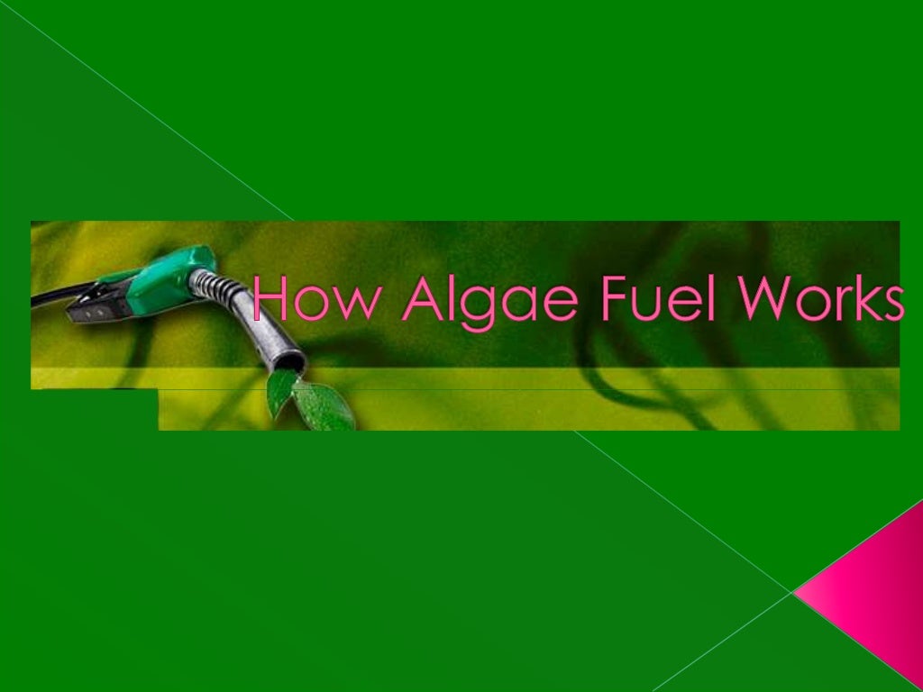How algae fuel works