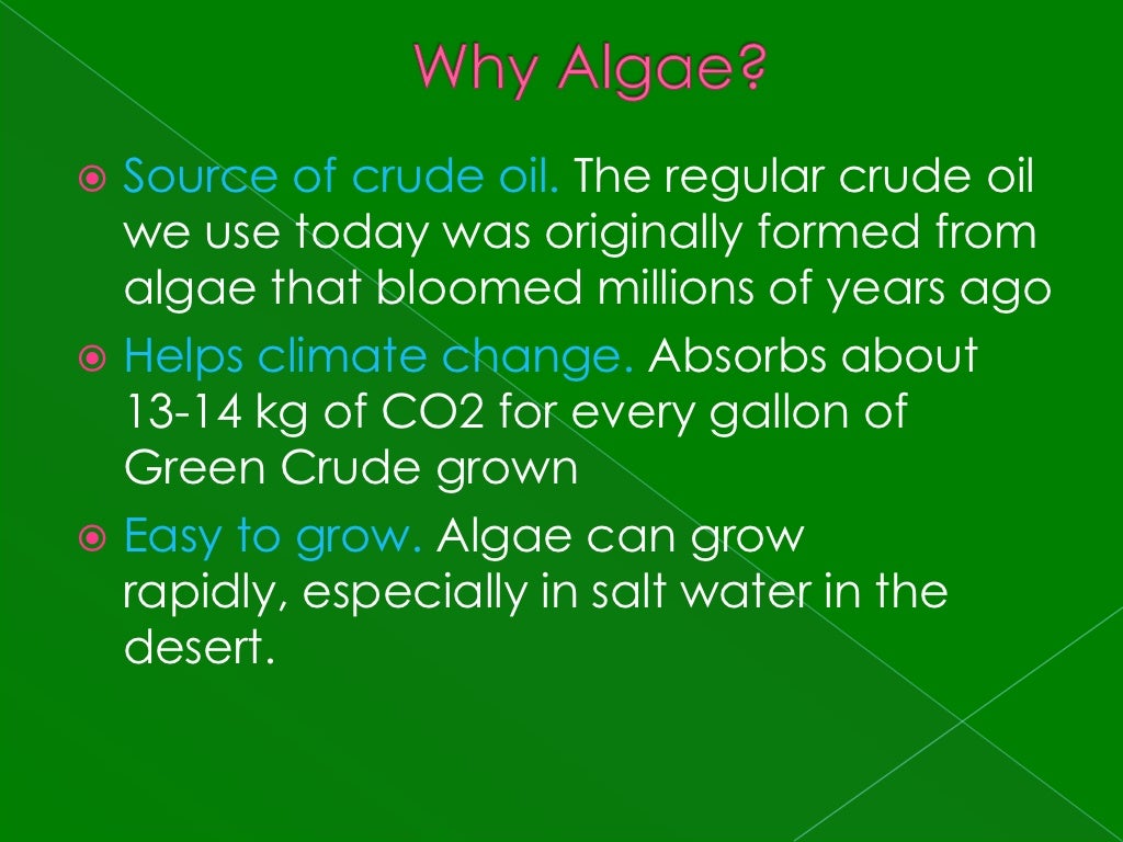 How algae fuel works