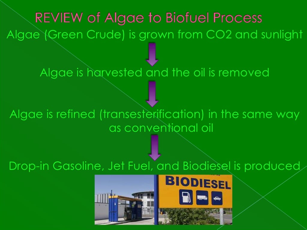 How algae fuel works